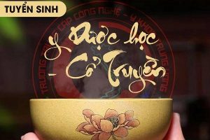Y học cổ truyền – Ngành học nhiều hứa hẹn dành cho sinh viên